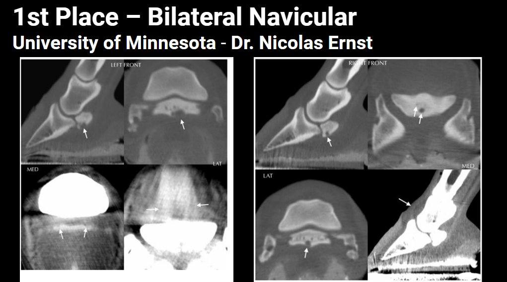 Equina_AstoCT's tweet photo. 🏆🎉 Congrats to the 2024 Asto CT Best Scans of the Year winners! 🎉🏆

👏 Special shoutout to University of Minnesota for earning Highest Scoring Clinic with an impressive score of 350!

#AstoCT #EquineDiagnostics 🐎✨ https://t.co/w86S5zWJbA