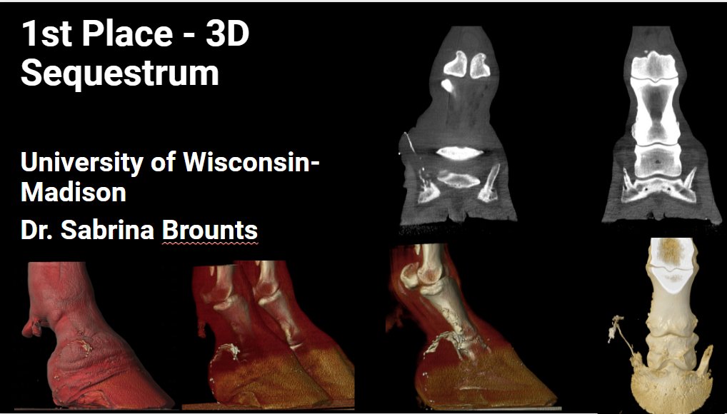 Equina_AstoCT's tweet photo. 🏆🎉 Congrats to the 2024 Asto CT Best Scans of the Year winners! 🎉🏆

👏 Special shoutout to University of Minnesota for earning Highest Scoring Clinic with an impressive score of 350!

#AstoCT #EquineDiagnostics 🐎✨ https://t.co/w86S5zWJbA