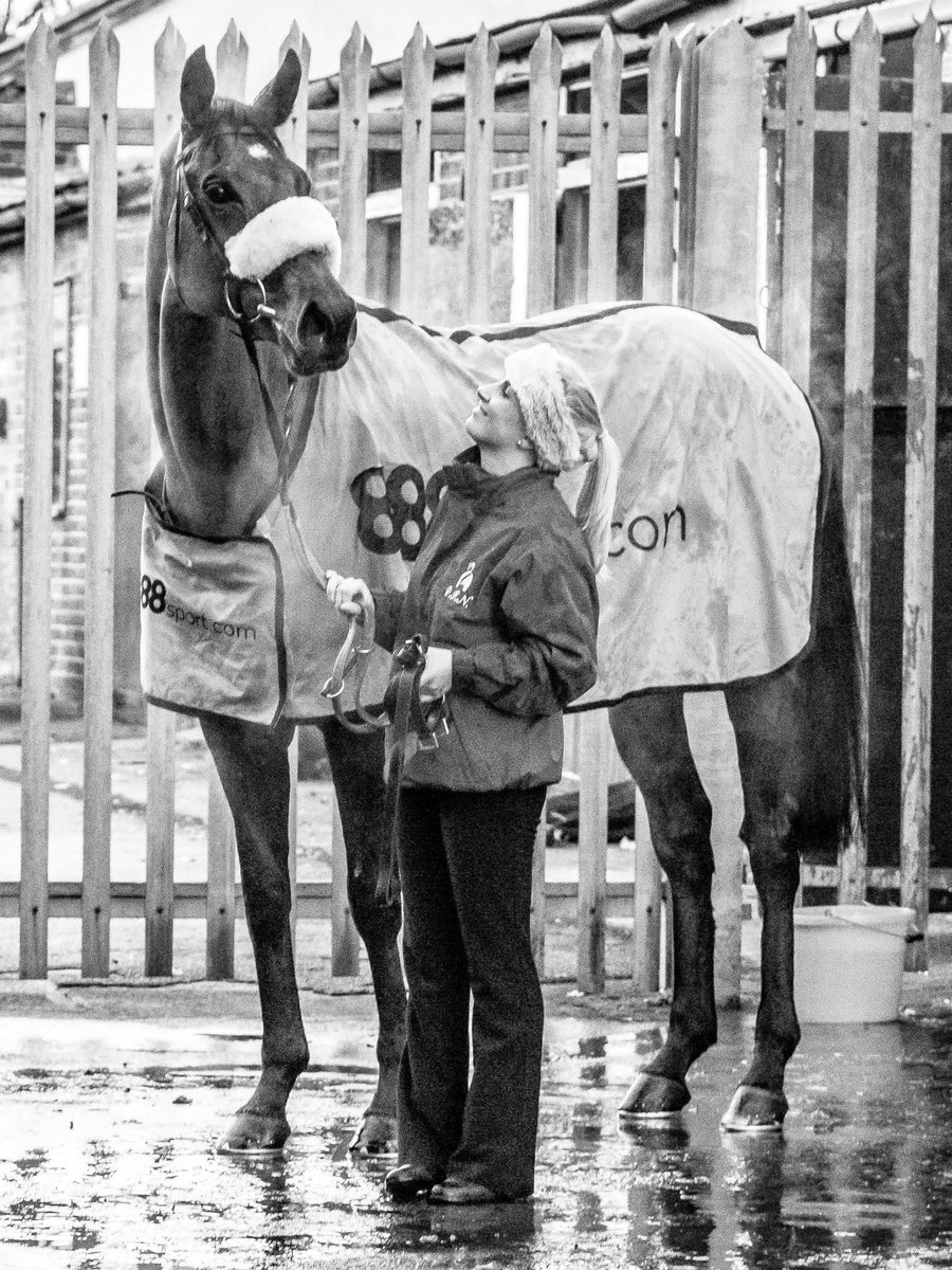 How was it 10years this weekend that this champ won the Tingle. What an amazing day and I still remember it like yesterday!! #DodgingBullets #Champ
#SeasonOfALifetime