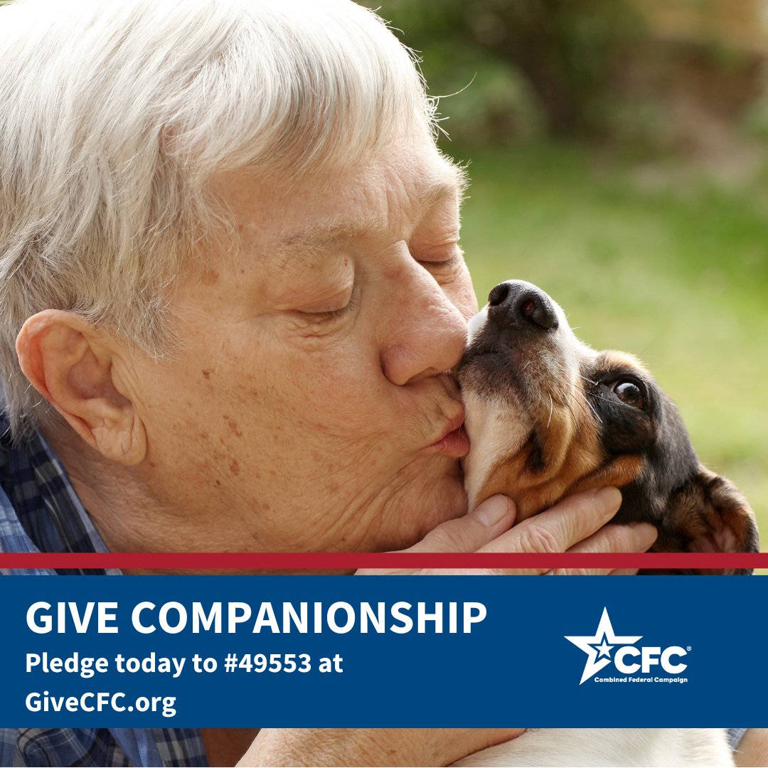 Pets for Patriots tweet media