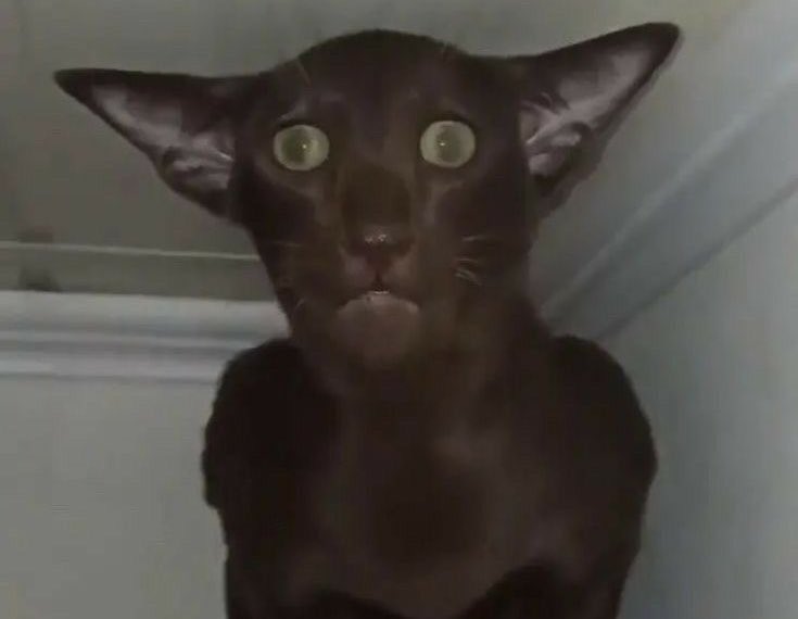 im selective sharing but sometimes i see doubles and i just feel my heart sink and i look like this
