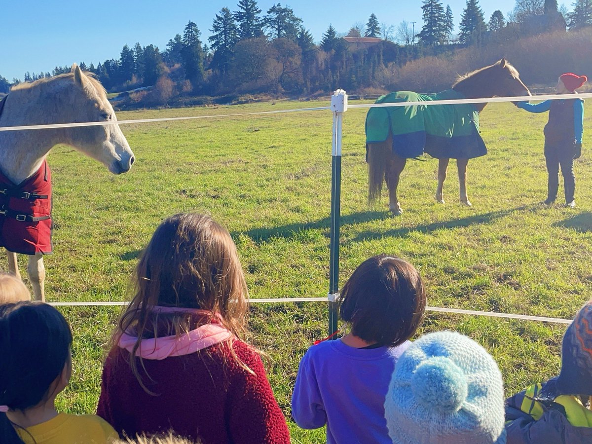 Last week, our first graders had an amazing visit to Harrison Road Farm in Banks. They explored horse care, joined a scavenger hunt, and played fun games with their families. We’re so grateful to the Petersons for providing such a wonderful holiday spot!