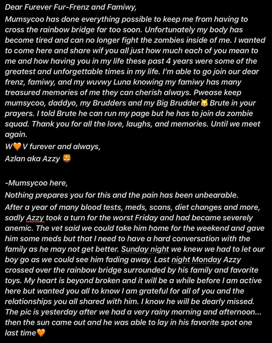 It breaks my already broken heart to tell you our Azzy has crossed over the rainbow bridge. I can’t even begin to tell you how grateful I am for the love he endured here with you all. 
He didn’t leave without saying goodbye.