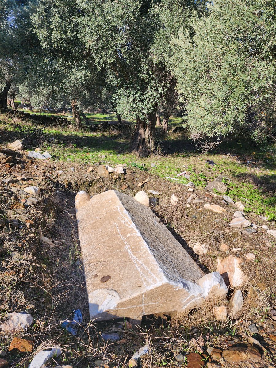 Muğla Milas'ta zeytinlik için yol çalışması yapılırken ortaya çıkan bu lahit mezarları yerinden almak yerine tekrar gömüleceği duyumunu aldım. Neden böyle bir karar alınıyor? Neden müzeye taşımıyorsunuz? <a href="/kvmgm/">Kültür Varlıkları ve Müzeler Genel Müdürlüğü</a> <a href="/TCKulturTurizm/">T.C. Kültür ve Turizm Bakanlığı</a>