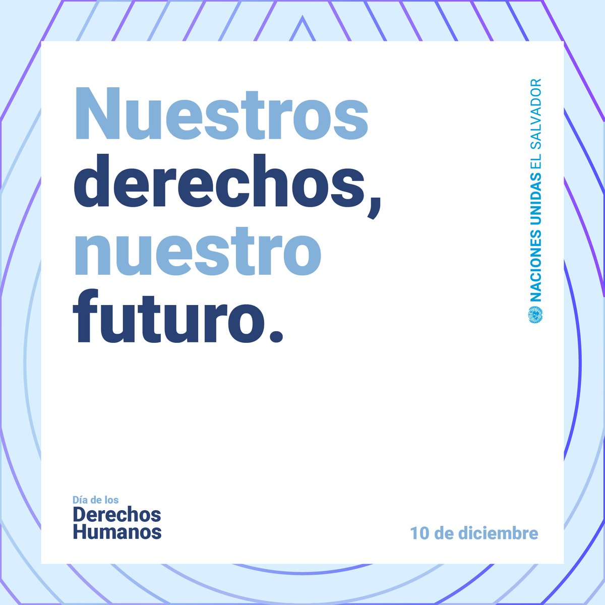 Los derechos humanos son el puente hacia el futuro que queremos hoy y para las generaciones futuras🌟 ¡Son nuestro camino hacia un mundo🌎 justo y equitativo!

Conozcamos, promovamos y defendamos nuestros #DerechosHumanos #DiadelosDerechosHumanos
