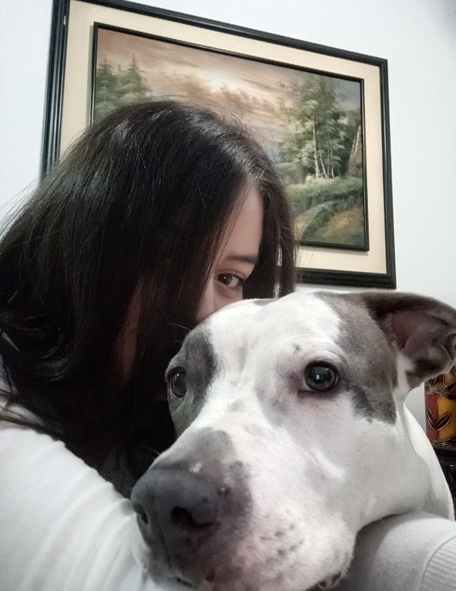 Ximenahe_'s tweet photo. Prometo que te buscaré en todas mis vidas... te amaré por siempre🥺🐕🤍 https://t.co/7EqIltTcZN