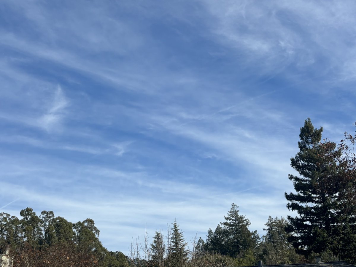 greendog27's tweet photo. This has to be the worst day of spraying in a long time. I feel like a broken record but this is ridiculous. Sonoma County California 12/10/2024 https://t.co/chGOmhcibI