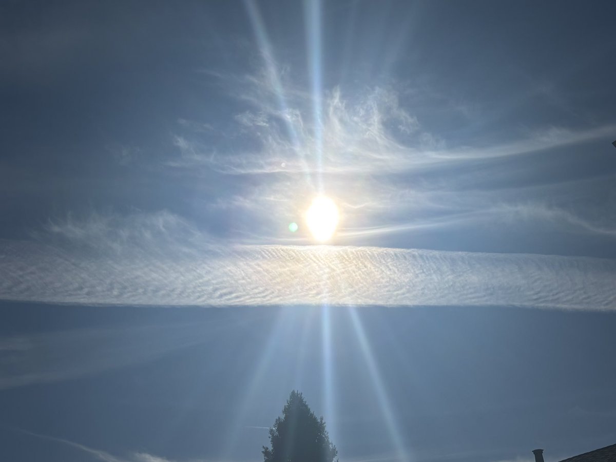 greendog27's tweet photo. This has to be the worst day of spraying in a long time. I feel like a broken record but this is ridiculous. Sonoma County California 12/10/2024 https://t.co/chGOmhcibI