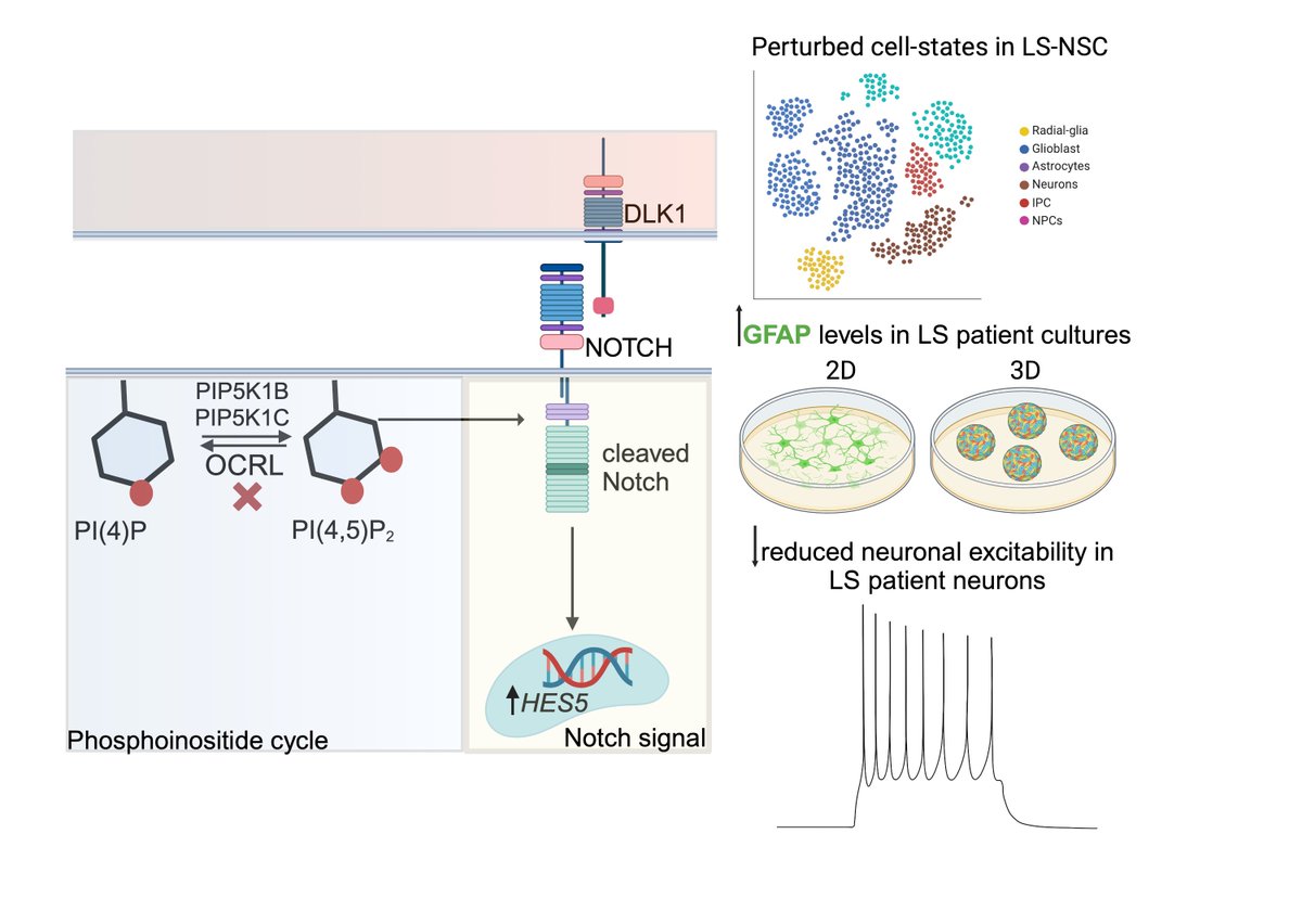 Yojet  Sharma tweet media