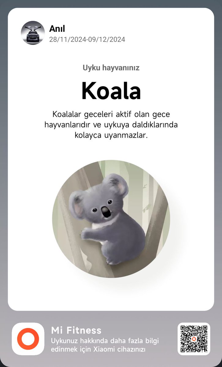 Telefonumun beni Koala hayvanına benzetmesi, bir bu kalmıştı 😁