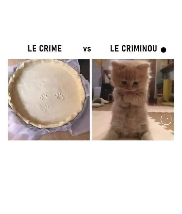 Trop mignon le criminou 😍