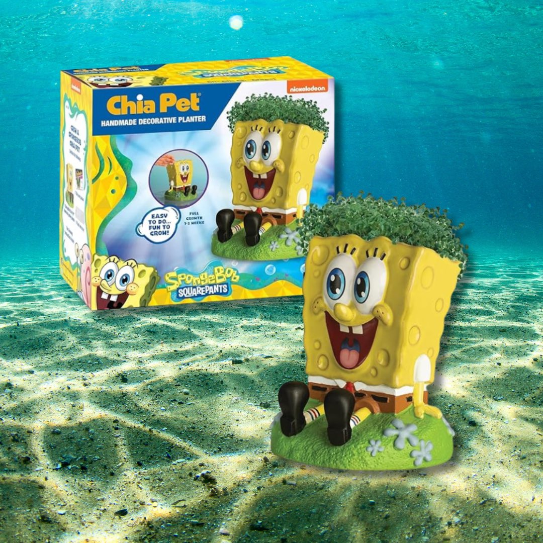 Coming soon to a Pineapple Under the Sea near you... the SpongeBob SquarePants Chia Pet! No Krabby Patties needed—just spread the seeds, add some water, and watch it grow! 🍍🌊 Order now! chia.com/products/spong…

#chiapet #chiapets #spongebob #spongebobsquarepants #spongebobfan