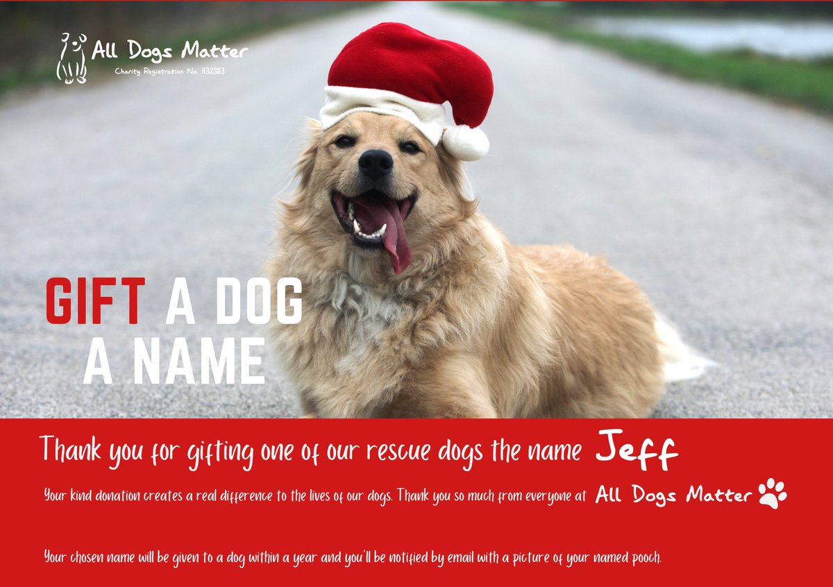ADAonSOL's tweet photo. Day 256 of 300! We just named our 256th rescue dog โJeffโ Inspired by @japarjam 44 Rescue Dogs to Go! ๐ถ #Charity #300DogMission #ForAda #ADASOL
*PLEASE NOTE THIS IS A CERTIFICATE. TO SEE THE REAL LIFE DOGS. PLEASE VISIT @AllDogsMatter WEBSITE. THESE ARE USUALLY AVAILABLE WHEN HE/SHE GOES UP FOR ADOPTION* ๐ถ๐ โค๏ธ