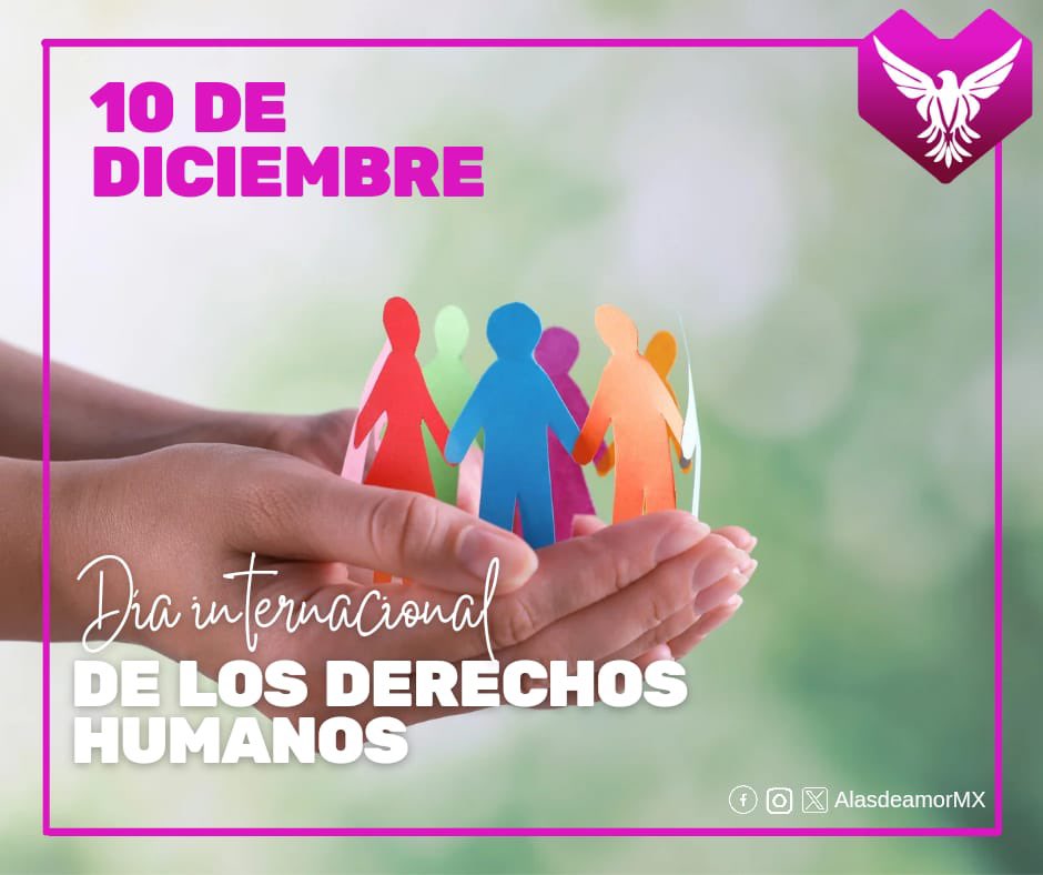 AlasdeAmormx tweet media