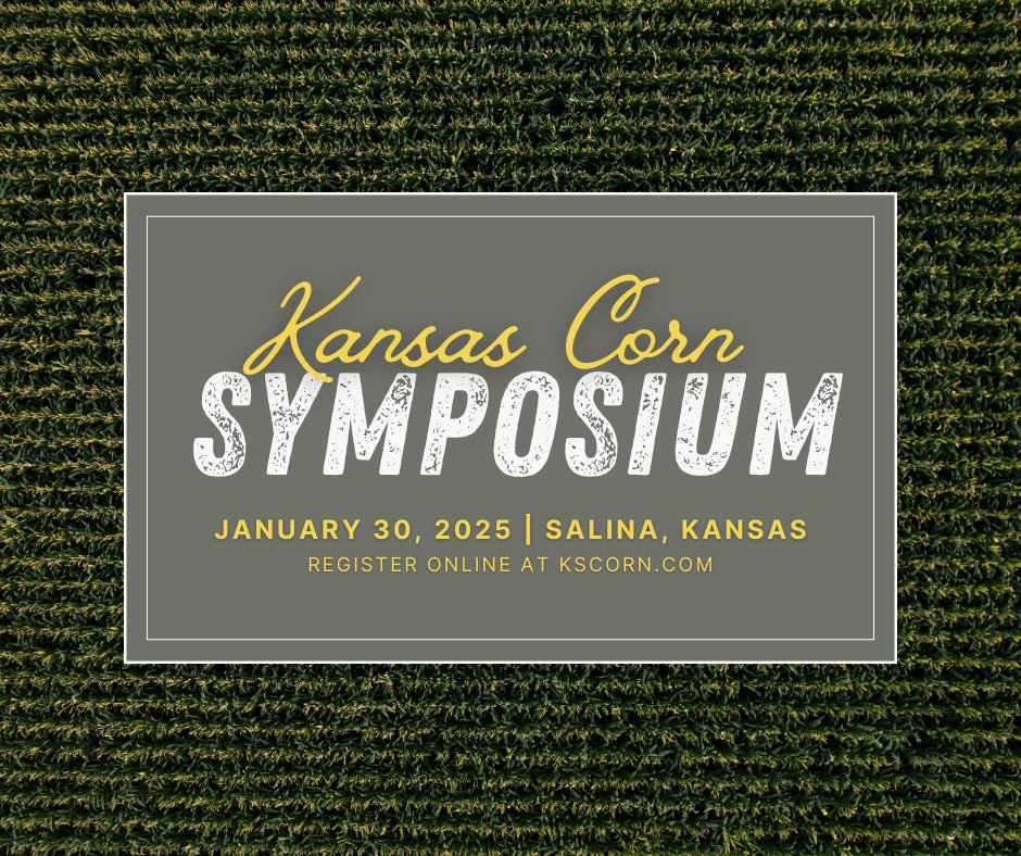 Kansas Corn tweet media