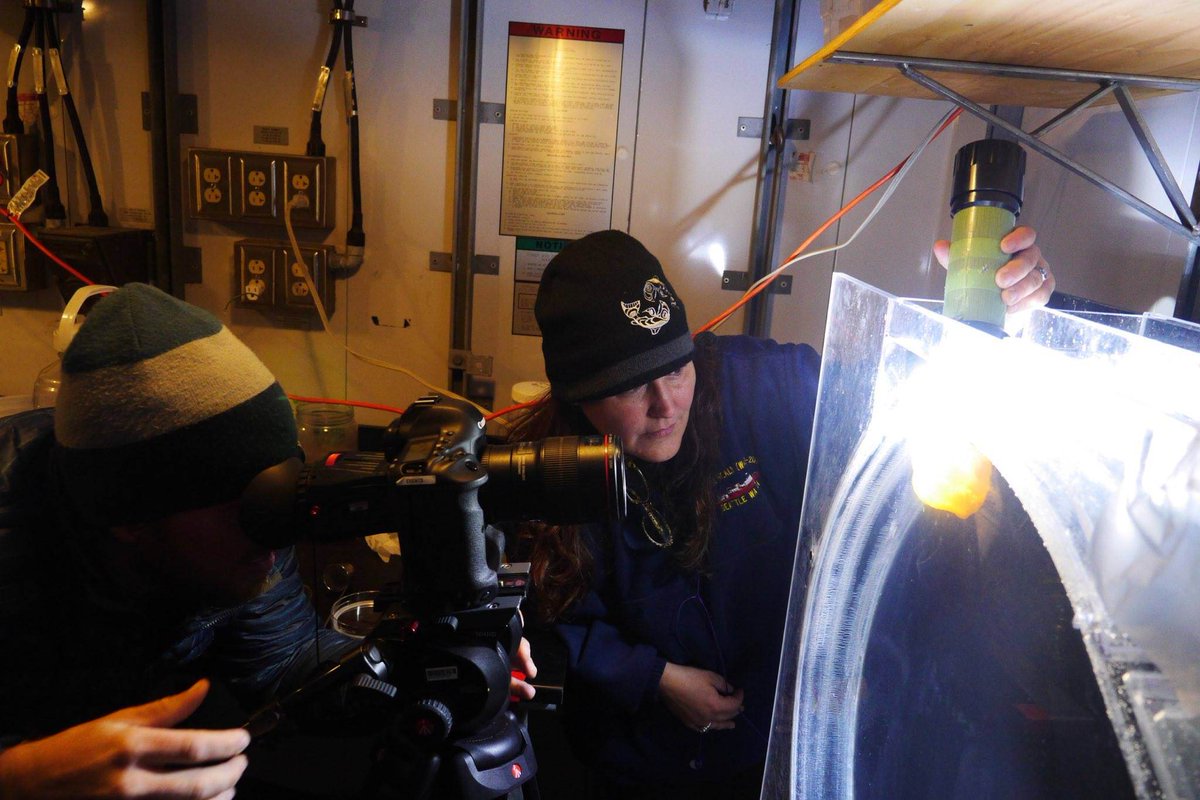 ANGARIocean's tweet image. Ready to explore #careers at sea? This #TeacherTuesday we're sharing informative #educationalresources to accompany our Jan. 9th #OceanExpertExchange w/ @UFEarthSystems &amp;amp; Michele Hoffman Trotter. Dive into marine career readings, videos, lessons &amp;amp; more ➡️ hubs.ly/Q02_8cSD0