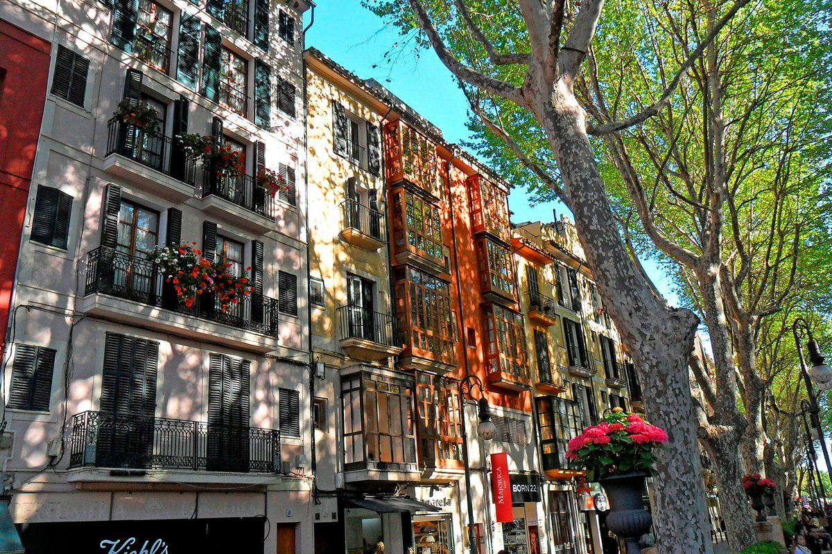 Abogacia_es's tweet image. 🏠 El Supremo confirma: los inquilinos de las viviendas públicas vendidas a fondos en 2013 podrán comprarlas al mismo precio que los fondos las adquirieron. Una victoria histórica tras 10 años de lucha vecinal. Justicia para quienes defendieron su hogar. 

abogacia.es/actualidad/not…