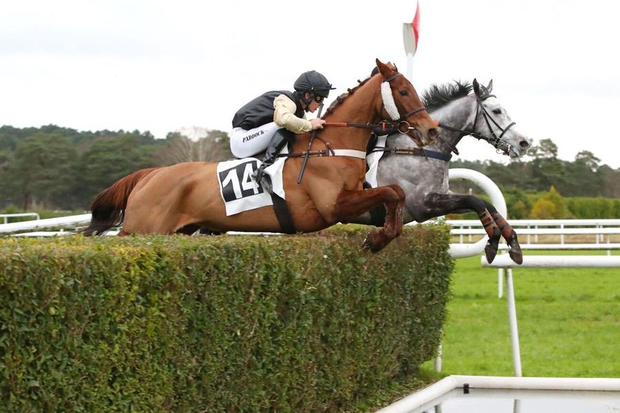 nbbloodstock's tweet photo. A first winner for new syndicate Chantilly Thoroughbreds!

Great to see Dear Weaver land a €29K chase in the black &amp; gold colours at Fontainebleau under the excellent Gabin Meunier

Thanks to @hmerienneracing⁩ and congratulations to all involved! 

https://t.co/RnvI3pYSYS https://t.co/cszqQ6tNaX