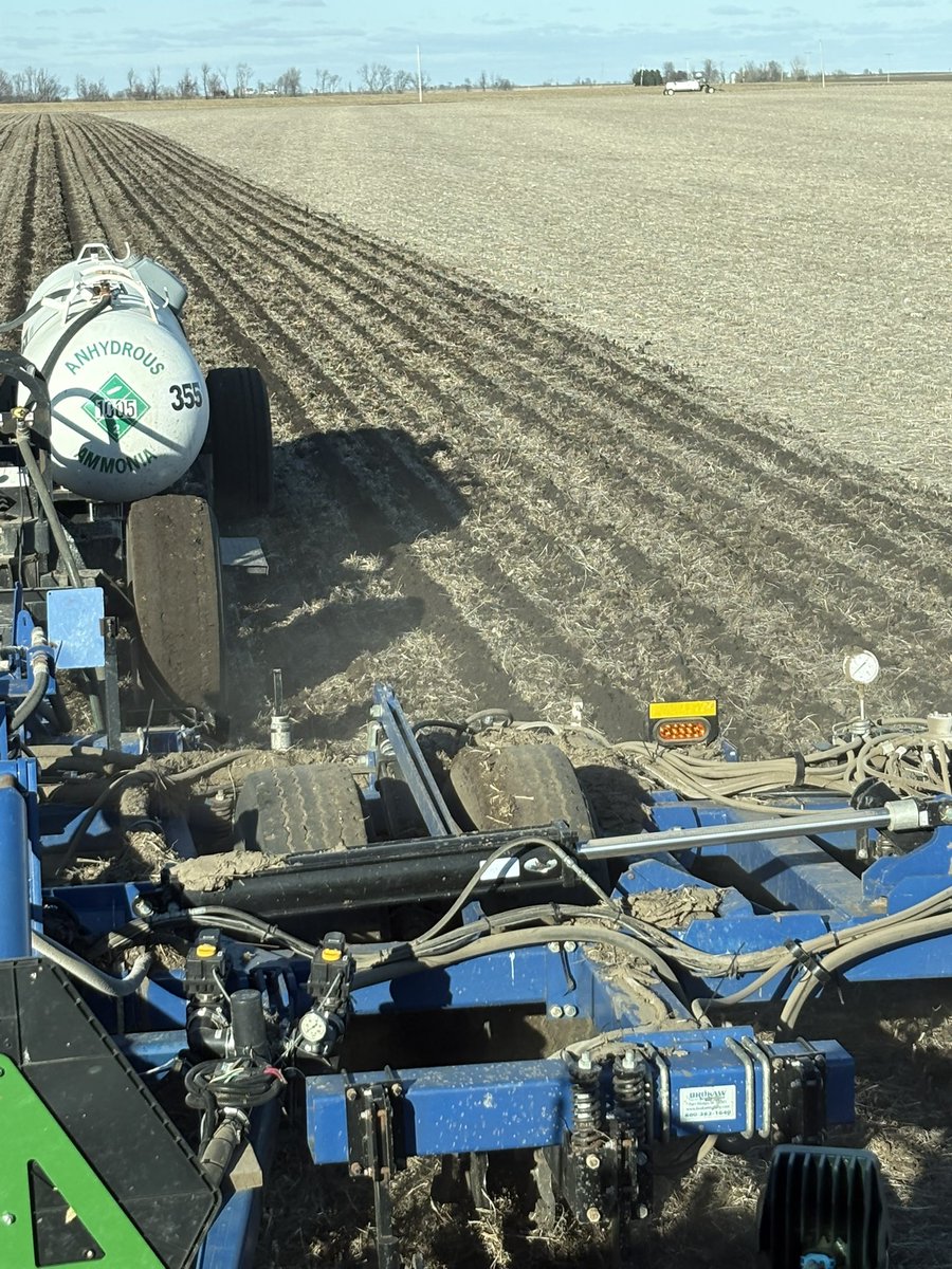 Bryan Arnold tweet media