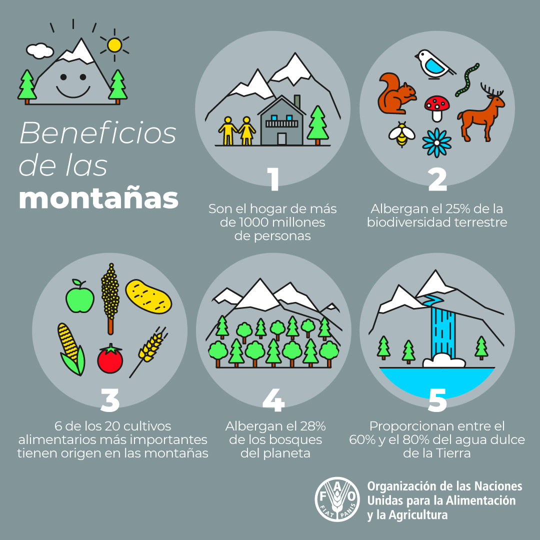 ONU_es's tweet image. 🏔 Las montañas: hogar de más de 1.000 millones de personas y el 25% de la superficie del planeta.

Sin embargo, la crisis climática las pone en grave peligro.

Descubre cómo proteger estos ecosistemas vitales con @FAOenEspanol en el #DíaDeLasMontañas: fao.org/international-…