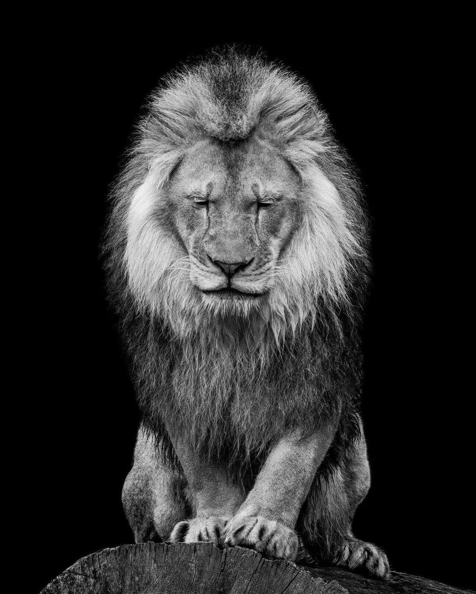 melihdarendeli's tweet photo. some silence… https://t.co/wRjaqZBSWm