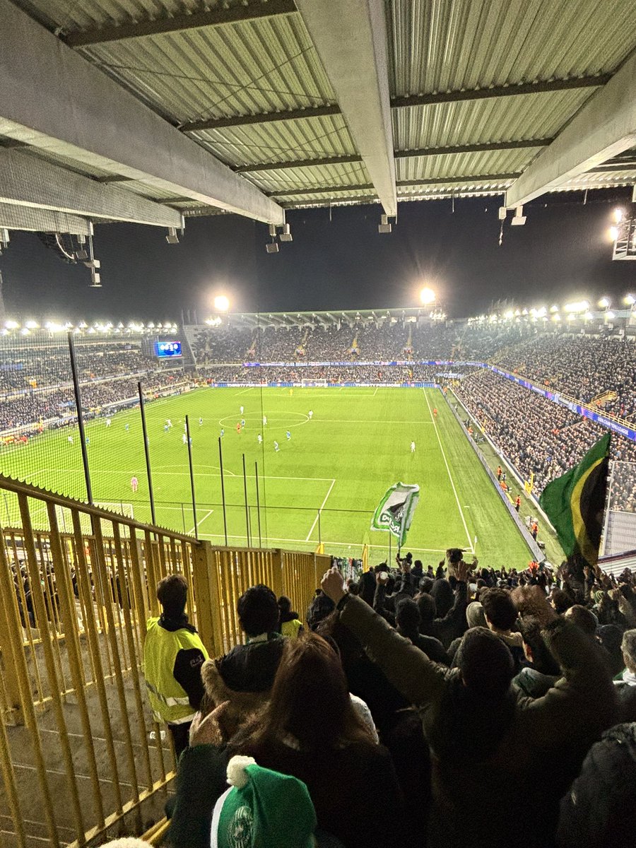 Carolina Bi-Dobrada Castaño tweet media