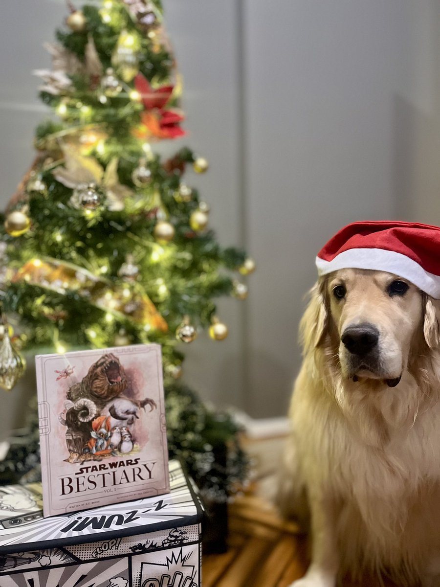 David Rodriguez tweet media