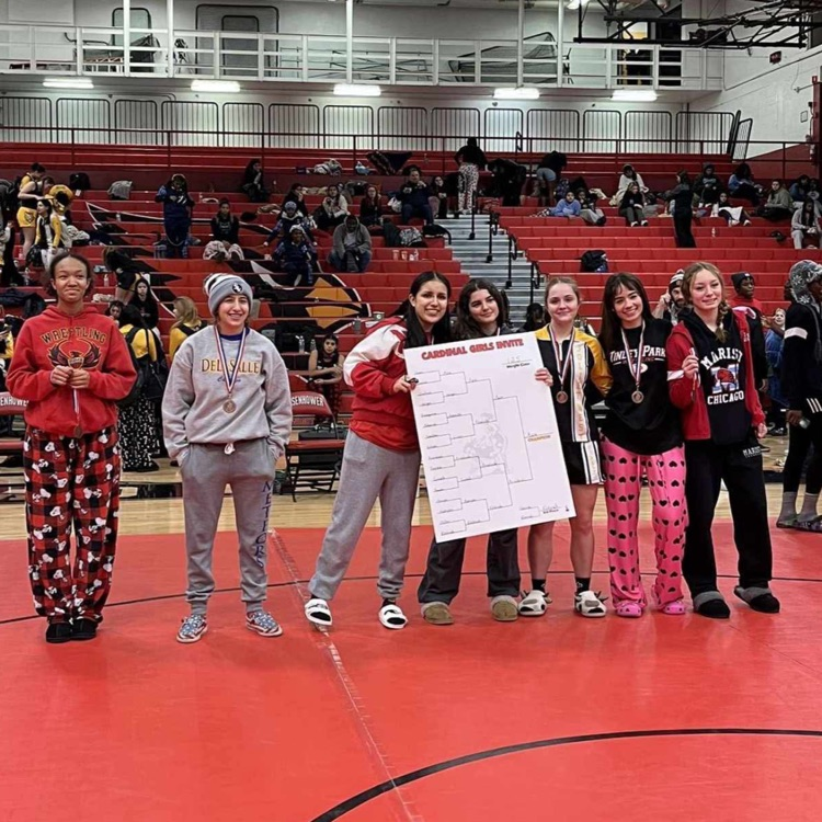 TinleyParkHigh's tweet photo. Our Titan Wrestlers are on fire! The girls team had a 1st place finisher Jayden Melendez, 2nd place finisher Maddie Monreal, and 4th place finisher Juliana Adamski and the boys team had a 1st place finisher Sebastian Sanderson! Awesome job! #TPTitanNation https://t.co/m8cKdpy1Xl