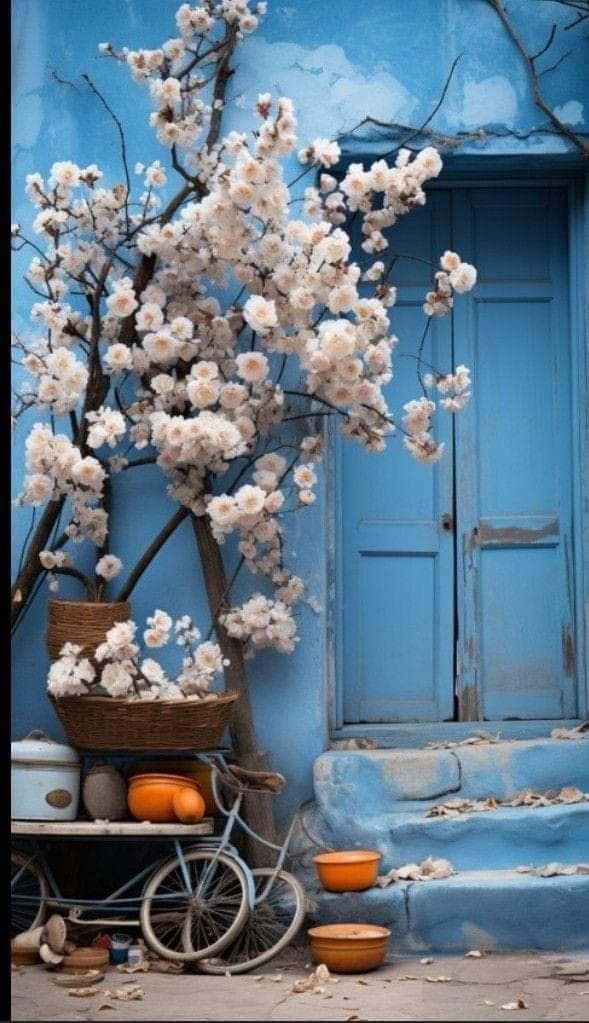 meh_thinks's tweet image. A beautiful way of living isn’t a place but a state of mind.🩵