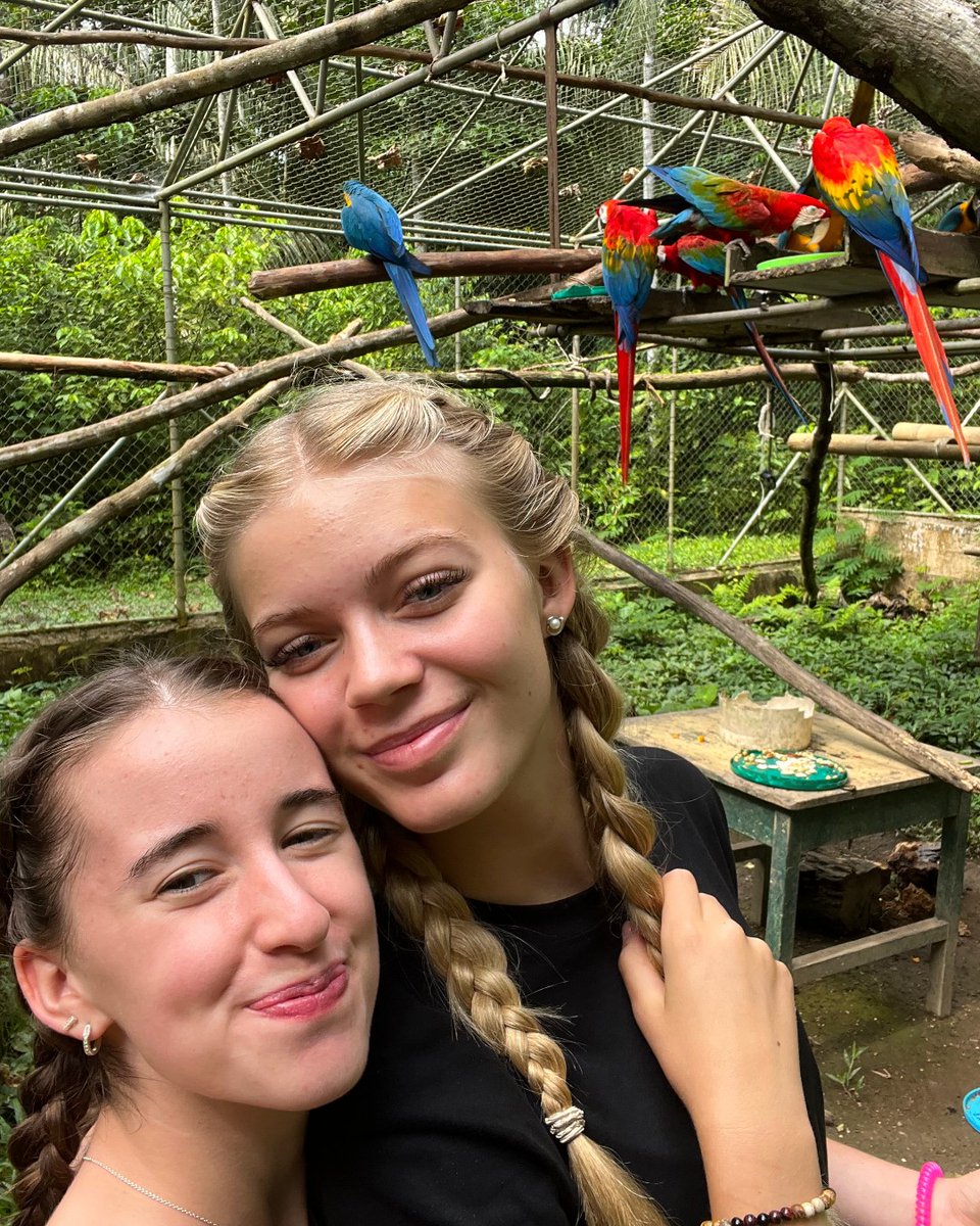 Projects Abroad tweet media