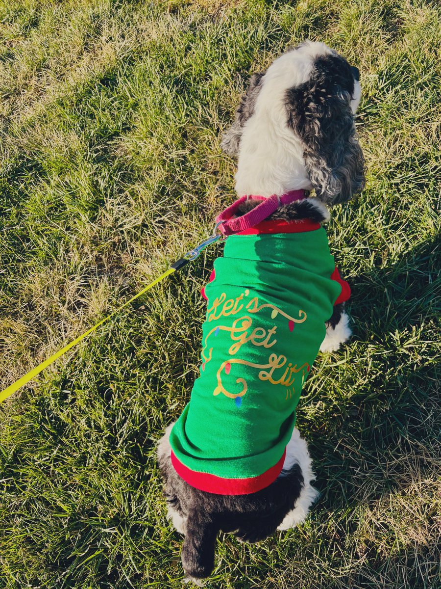 leannimal___'s tweet image. #LetsGetLit 🥹