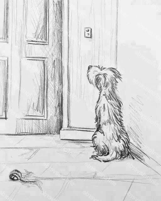 mayumiguillen's tweet image. Este es el único ser que nunca se cansará de esperarte.  ❤️🐾