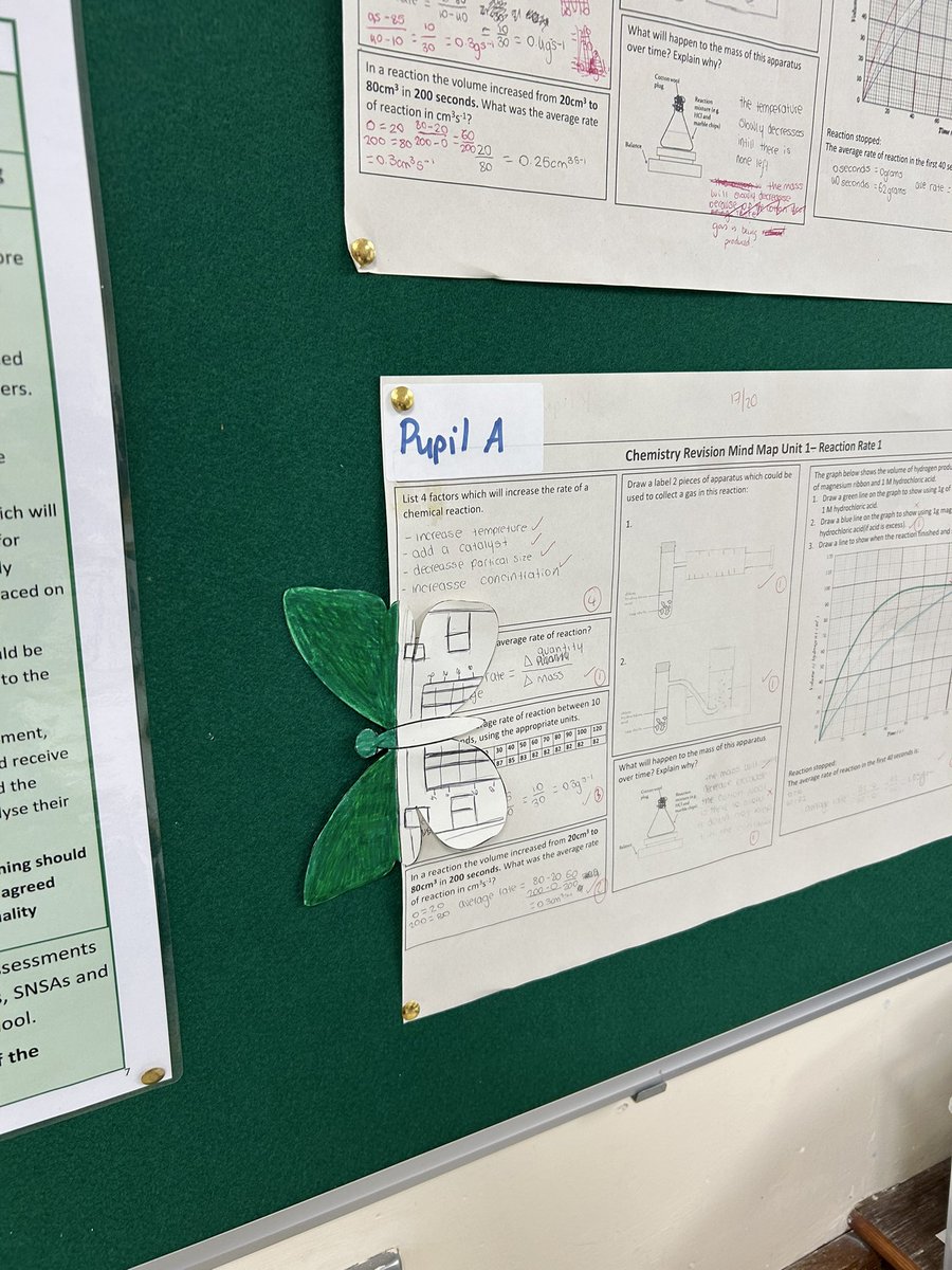 missraeside's tweet photo. S3 got creative today camouflaging butterflies around the classroom after learning about natural selection and peppered moths🦋@ScienceSLHS https://t.co/yGzRszjbxs