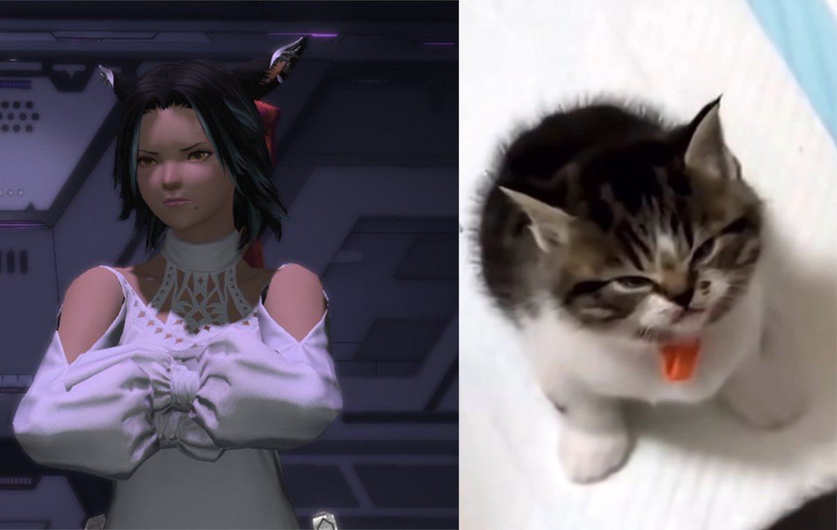 Koolaid_Girl23's tweet image. same image (I'm now finally caught up on MSQ)