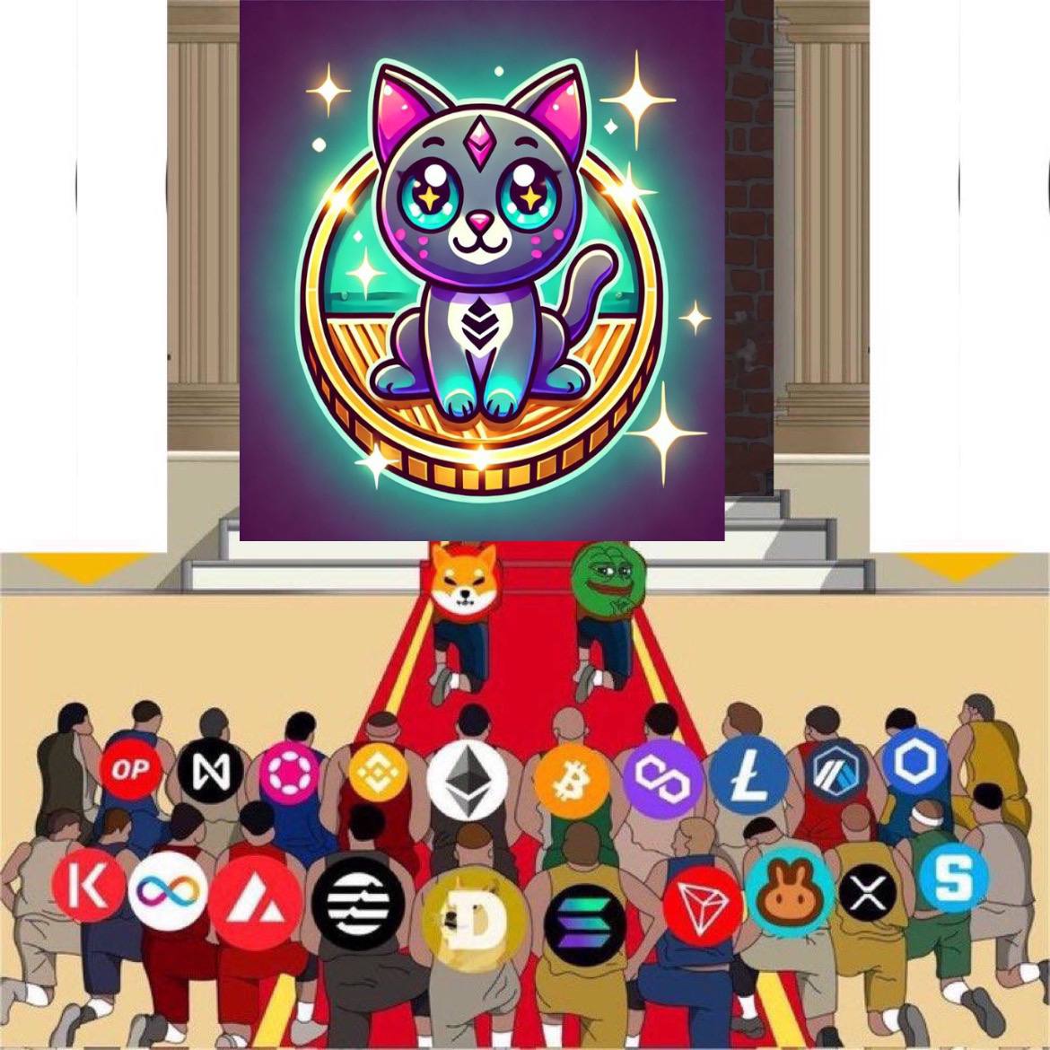 MetaKitty tweet media