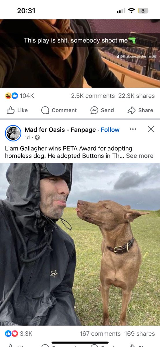 johnflaherty84's tweet photo. @liamgallagher this is fucking awesome! Well done. Even tho I’m still pissed off I couldn’t get tickets!! 😂 https://t.co/Mlso4hv8mE