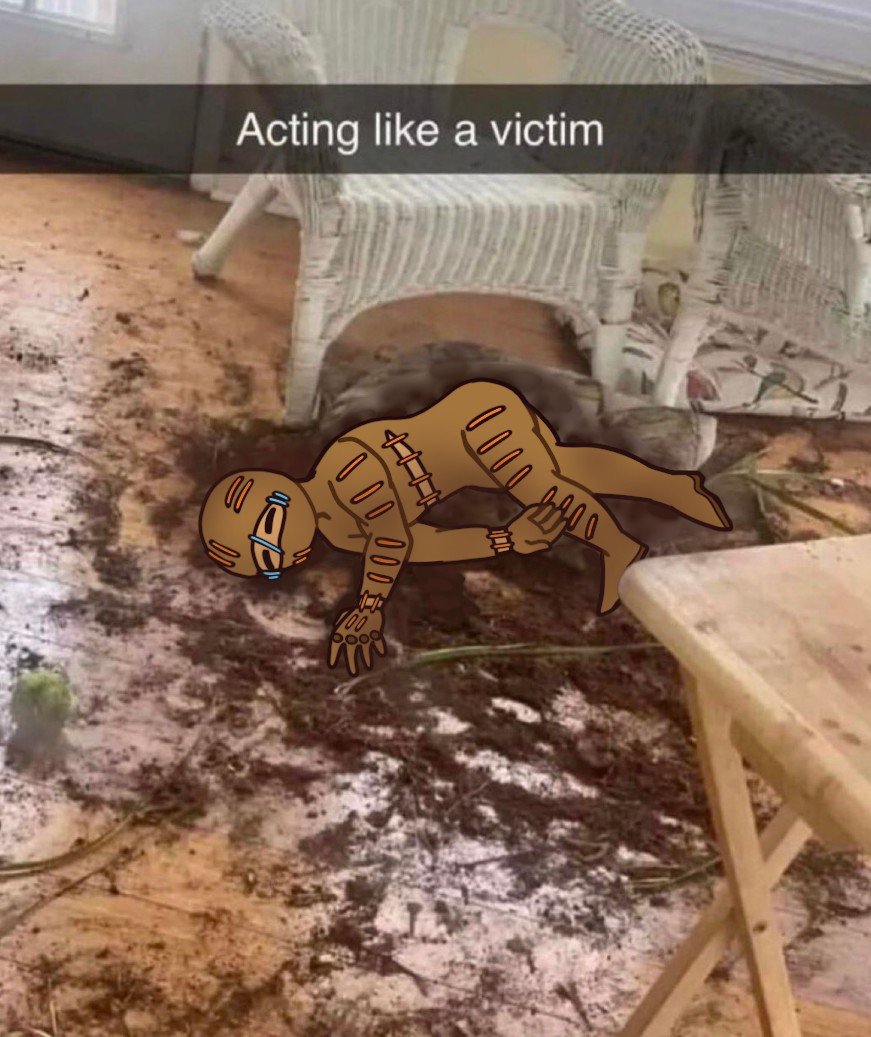 b 📹⚾ tweet media