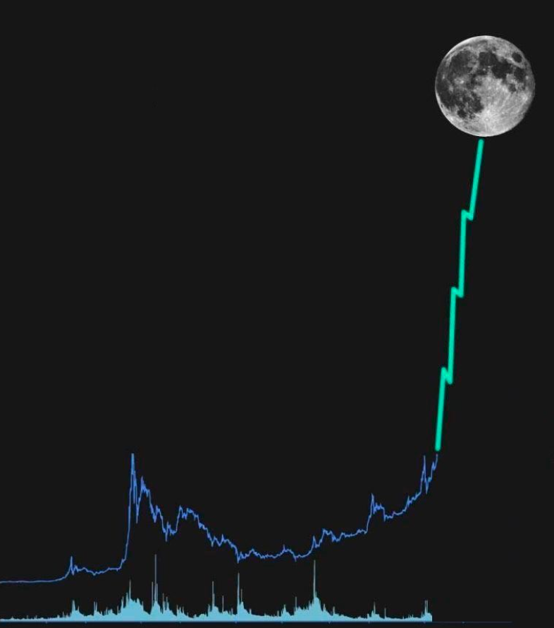 $XmasMoney coin on SOL tweet media