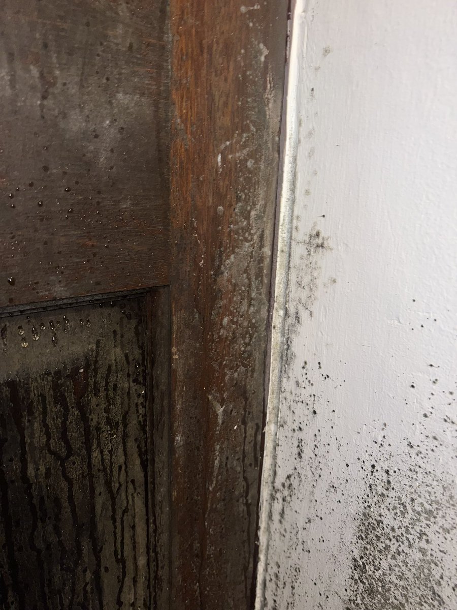 Charlotte tweet media