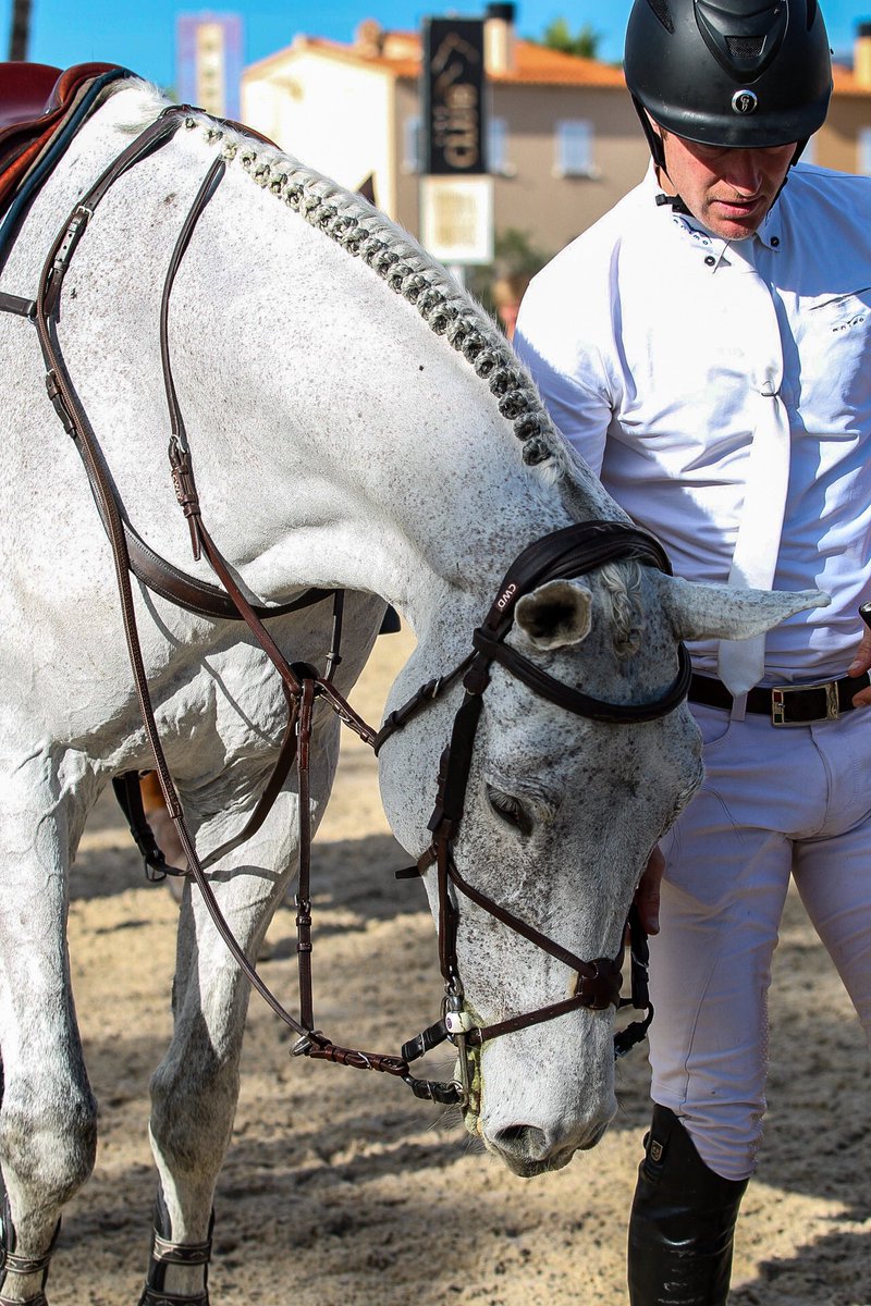 William Whitaker tweet media