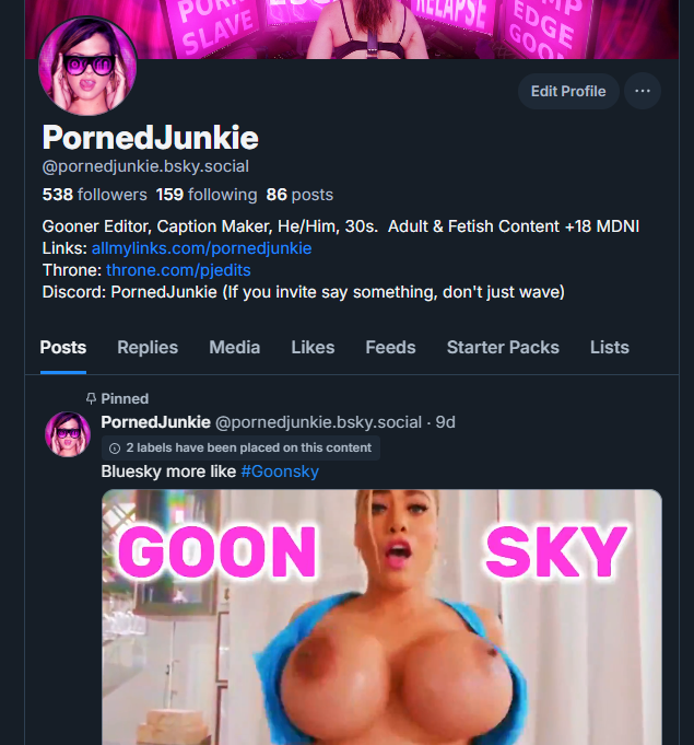 PornedJunkie.bsky.social tweet media