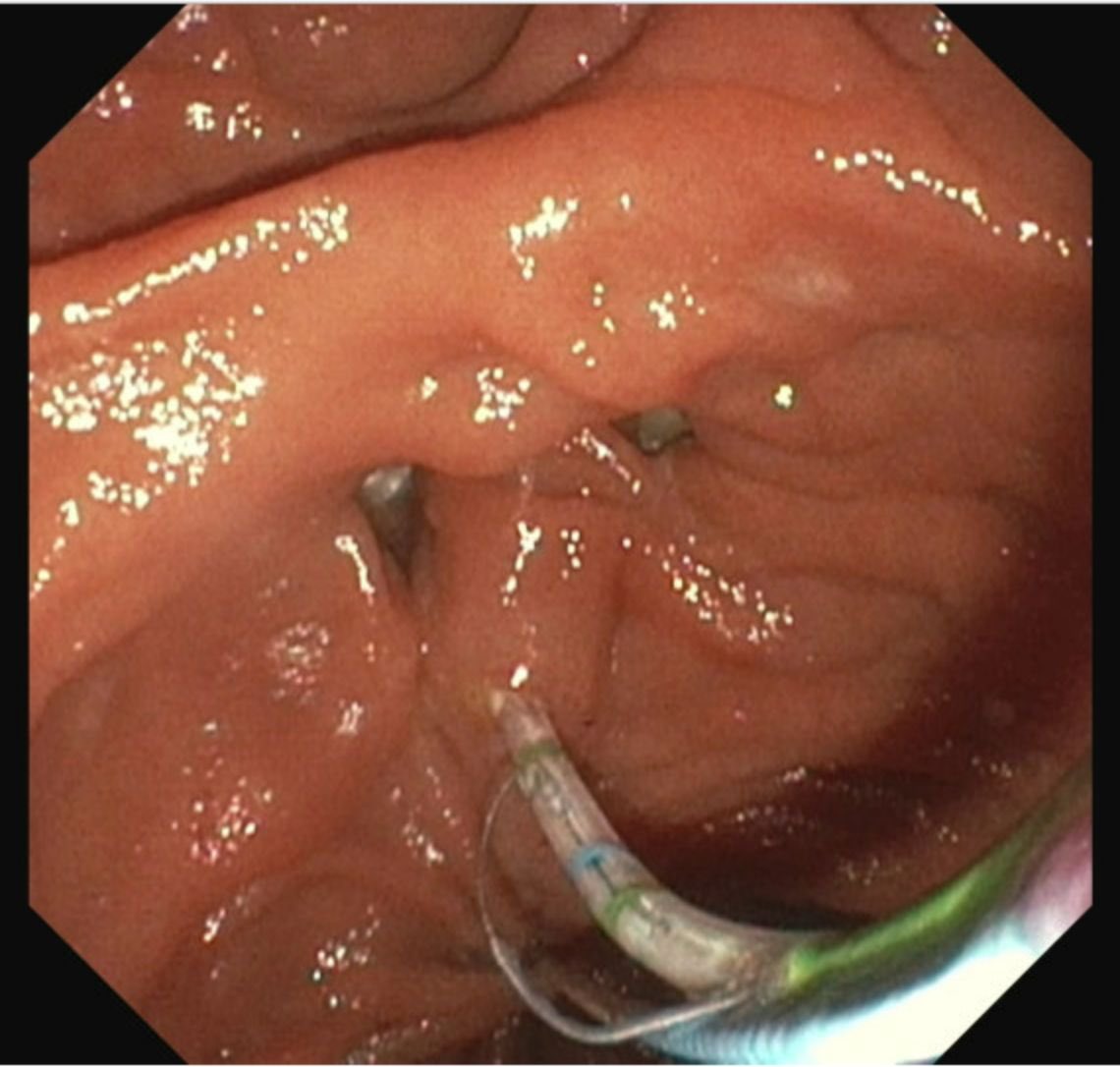 Jean Chalhoub tweet media