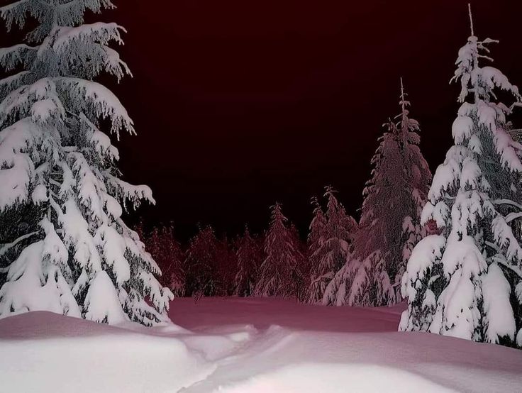 ✞ 🗝️ (@hakaelll) on Twitter photo 