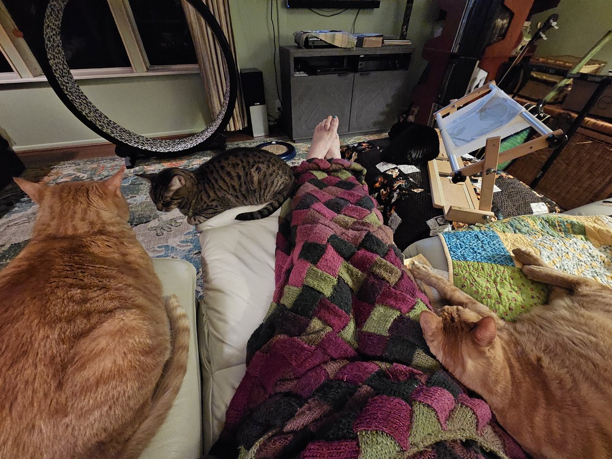 4 out of 4! On my right is Mango, on the arm of the chair is Butterbean, LuvBug at my feet, and Xanadu on the ottoman. Xanadu blends in with the dark quilt so look closely.