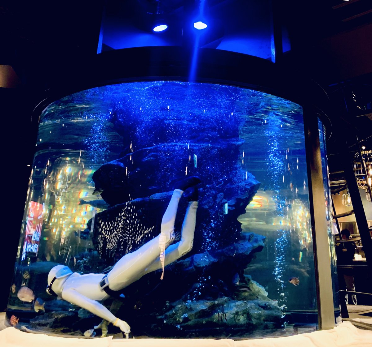 Fantasisata's tweet photo. 今話題の9フロア縦型横丁・新橋 #グランハマー
実はオープン日にお邪魔してました
当日はその注目を象徴するほどの人気ぶり
ビル一棟が #フードエンターテイメント で迫力満載
B級グルメから高級業態迄幅広いジャンルが揃います
浜倉さん節が炸裂です
続きはInstagramにて…
https://t.co/OfYOZLeI6n https://t.co/Cwg2V7Ooby