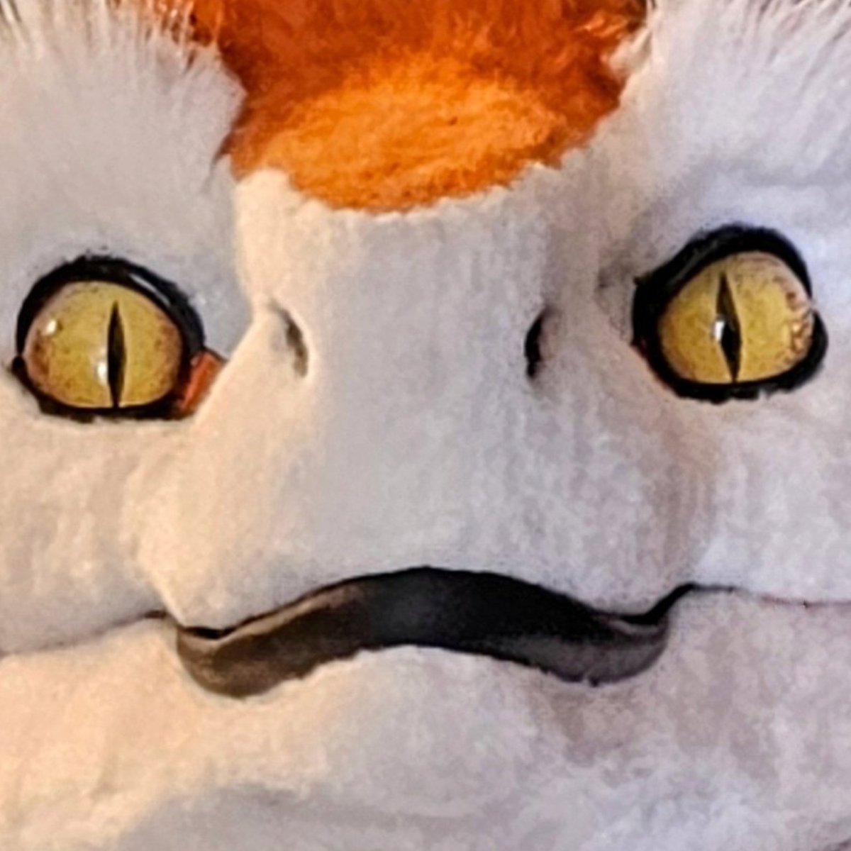 MimicTheSergal's tweet photo. New Profile Pic Because Why Not :> 
 #Sergal #Furry https://t.co/p7hgBmCKPz