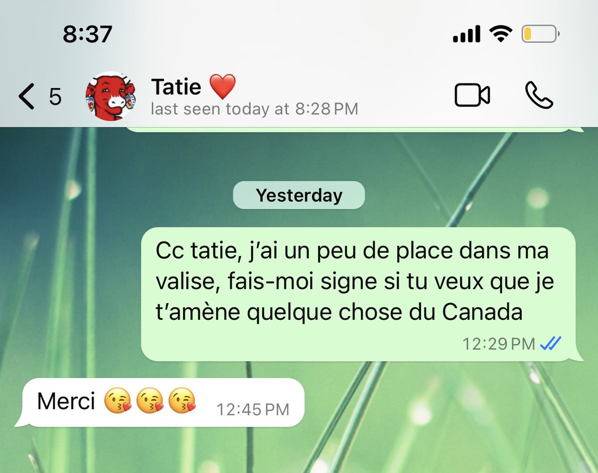 vodkaisourgod's tweet photo. J’ai demandé à ma tante si elle voulait que je lui ramène quelque chose du Canada… 💀 https://t.co/DwkFTdKRVr
