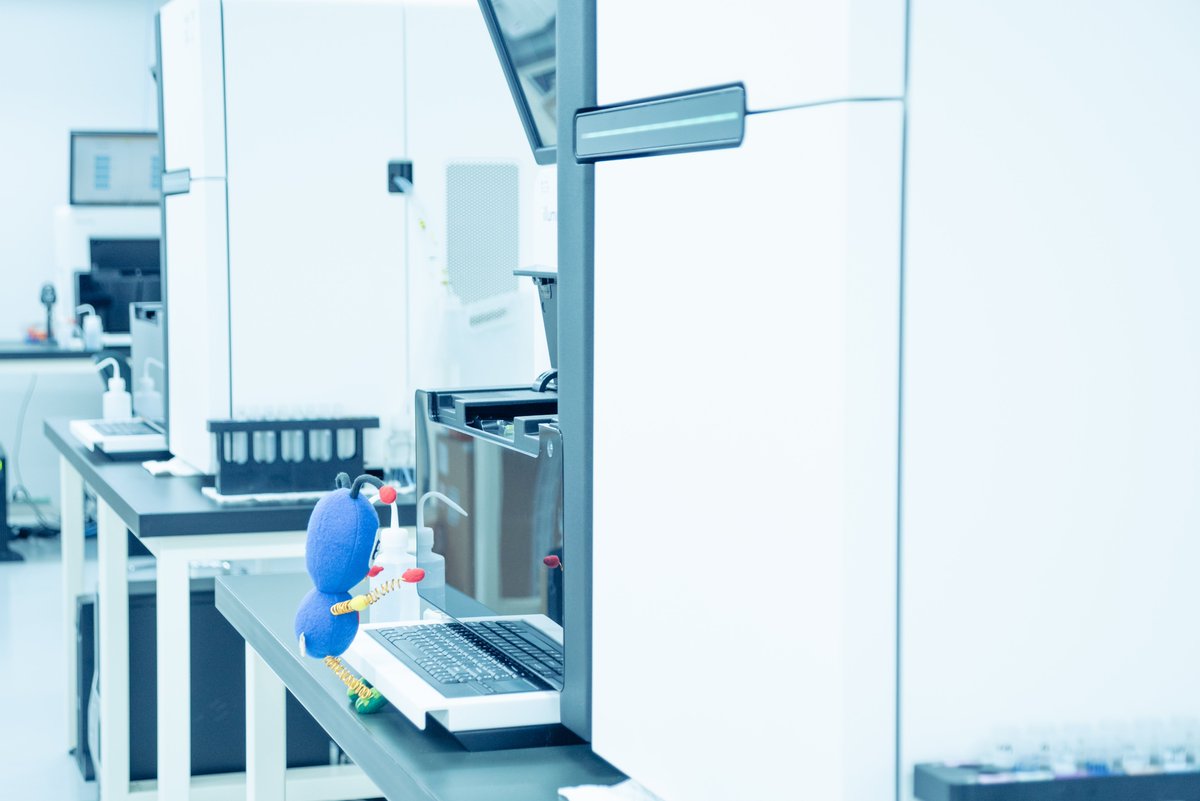 \　🧑‍💻新しい解析のアイデアが見つかるかも　/
遺伝研ウェブサイト「遺伝研発の実験技術」では、汎用性のある実験技術を紹介しています。ぜひご覧ください。

【カテゴリーごと】nig.ac.jp/nig/ja/researc…
【ラボごと】nig.ac.jp/nig/ja/researc…