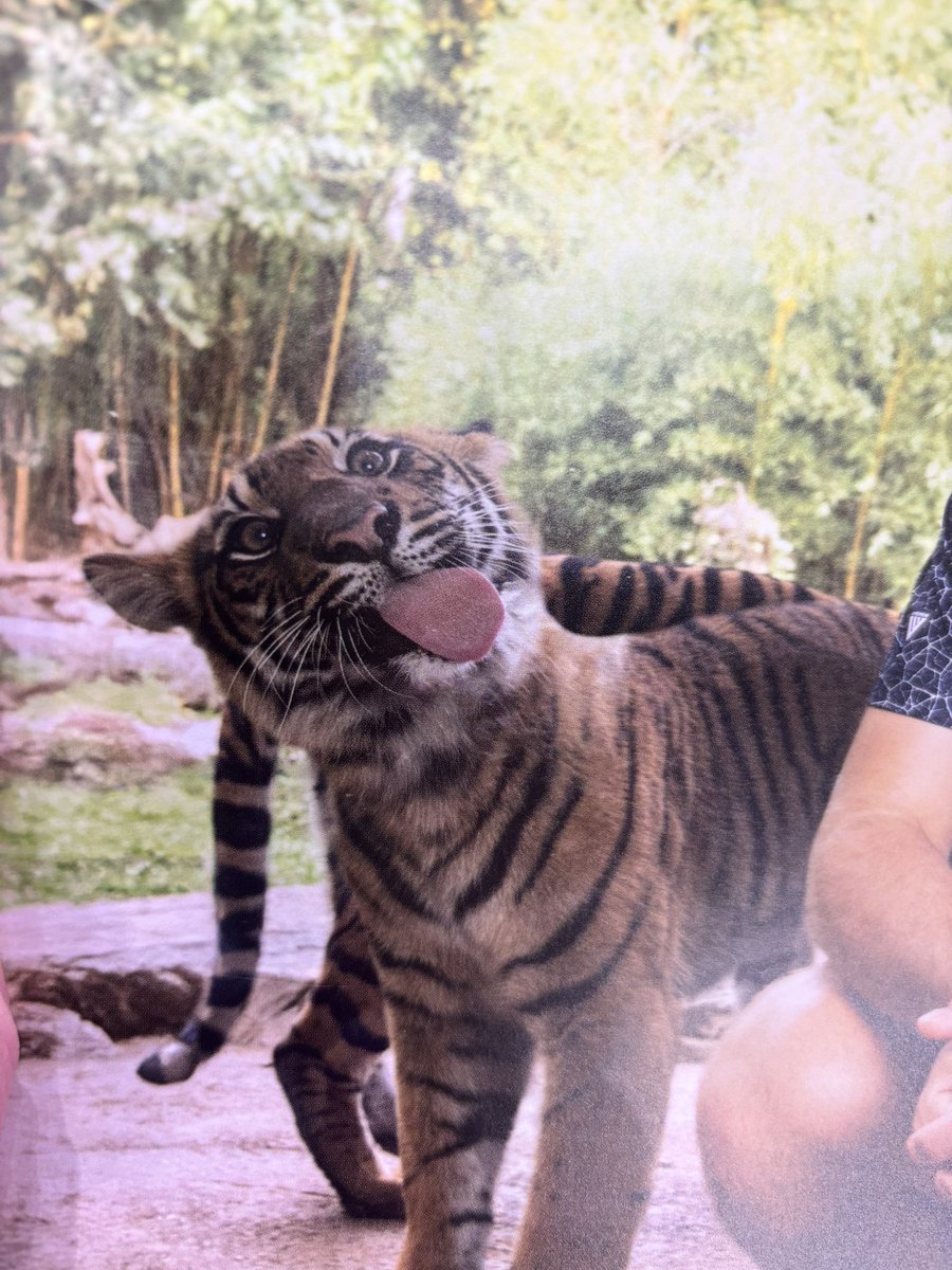 Everyone buy a Preds calendar and turn to October