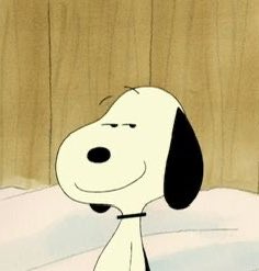 schecosnoopy's tweet photo. https://t.co/cGsLL56YsE
